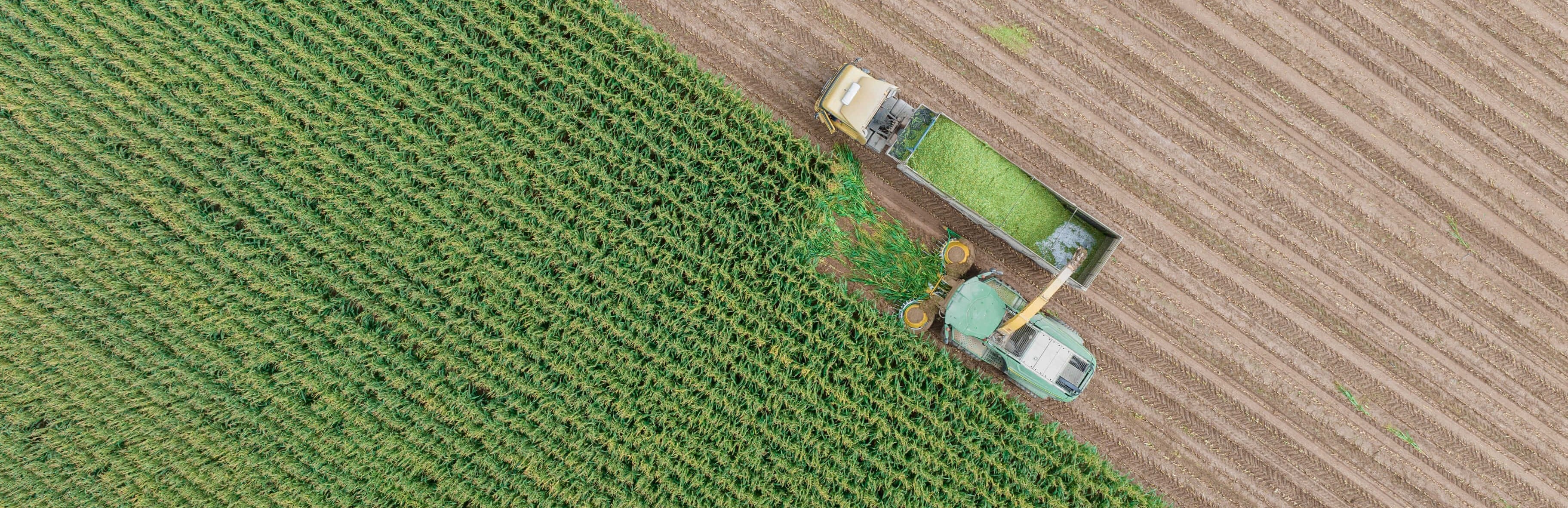 Видео-превью